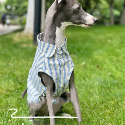 Cotton Sleeveless Shirt Cool And Comfortable Fabric Ultra-thin Design Whippet Clothing