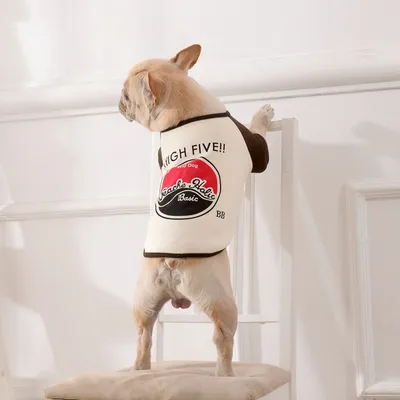 Clothes Pet Teddy Dog Fighting Two Leggings