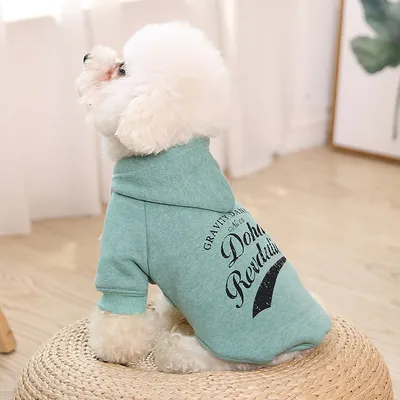 Autumn And Winter Pet Dog Pattern Sweater