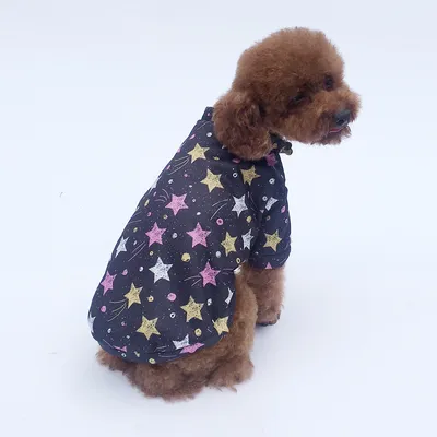 Baby's Breath Plus Fleece Sweater Teddy Pet Clothes