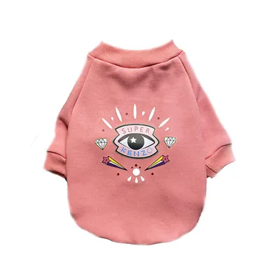 Autumn And Winter Pet Clothes For Dogs Plus Velvet Cotton Sweaters Fashion Styles Fighting Pug Teddy Schnauzer Casual Two-legged Clothes