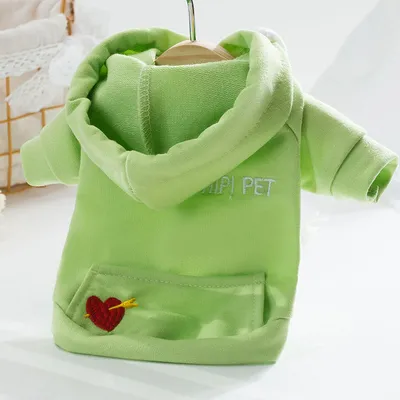 Cat Poodle Small Puppies Puppy Dog Clothes