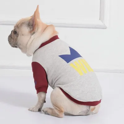 Casual Teddy Dog Sweatshirt
