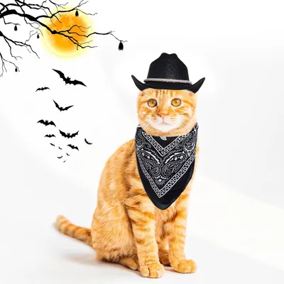 Black Pet And Bib Set Cotton Rope Denim Hat With Square Scarf Cat And Dog PartyFestival Hats