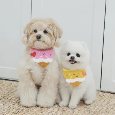 Cute Ice Cream Dog Bib Cat Pet Saliva Pocket Saliva Towel