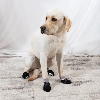 Halloween Pet Socks Dog Foot Cover Box