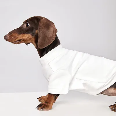 Cold-proof Handsome Pet Cat Dog Clothes