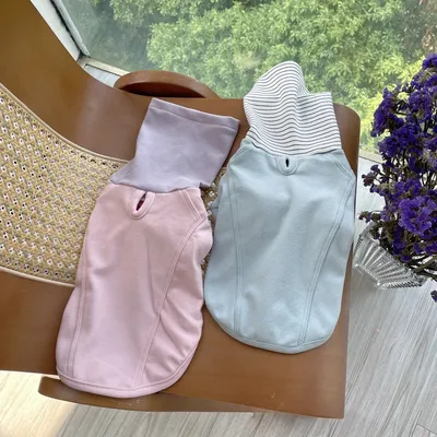Color Block Basic Shirt Pet Clothes Dog Clothing