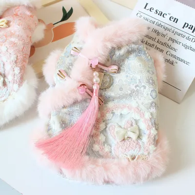 Chinese-style Tasseled Pet Clothing For Fall And Winter
