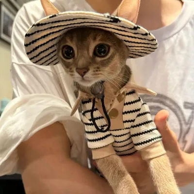 Autumn Winter Style Pure Cotton Shirt Fisherman Hat Fur-Free Cat Clothes