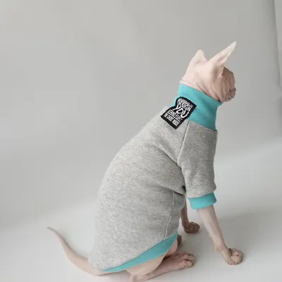 AutumnWinter Trendy Brand Contrast-color High-neck Fleece-lined Hoodie For Warmth