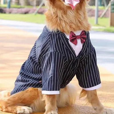 Creative Versatile Large Dog Clothes For Big Dogs