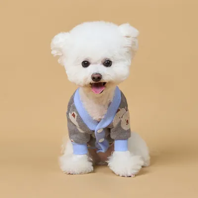 Casual-style Pet Sweater With A Little Bear Print