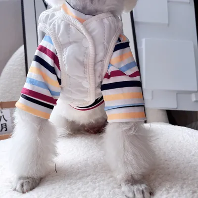 AutumnWinter Warm Dog Vest Two-Piece Set