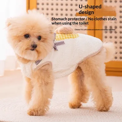 Cute Autumn Winter Dog Hoodie With A Little Bear Pocket