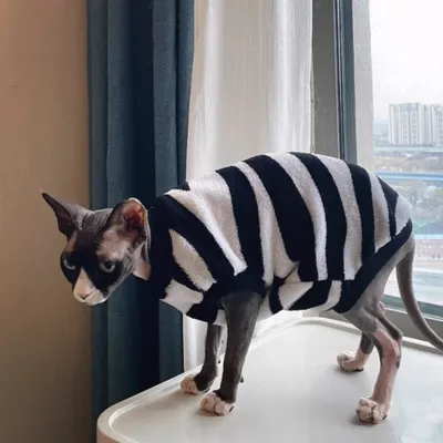 Sphynx Cat Warm Sweater Zebra Stripe Pattern Soft Skin Friendly Clothes For Hairless Cats