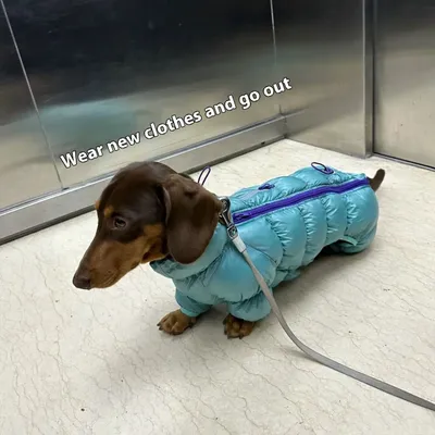 Autumn And Winter Pet Thermal Cotton-padded Clothes