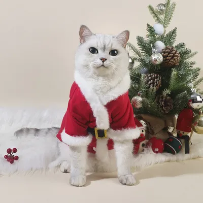 Autumn And Winter New Christmas Pet Cat Dog Pet Clothes