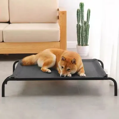 All-Season Moisture-Resistant Detachable And Washable Mesh Dog Bed