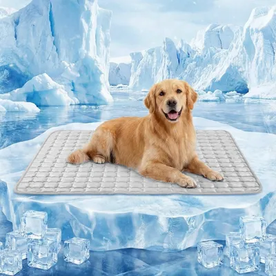 All-Season Non-Slip Pet Bed Mat