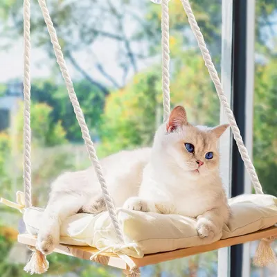 Wooden Pet Hammock With Suction Cups