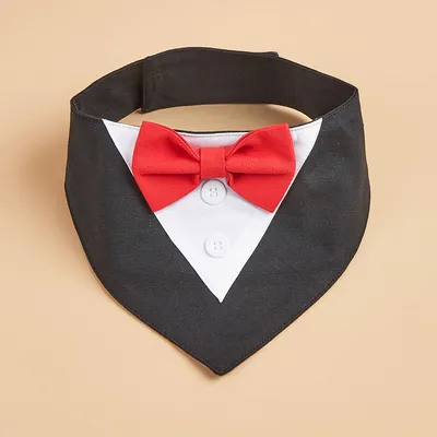 British-style Handsome Dog Bib For Weddings