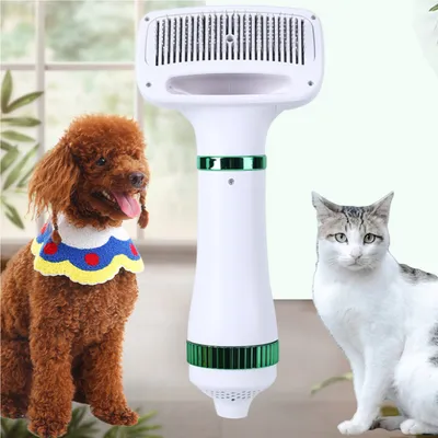 Brushed Plastic Pet Dryer Blow-dry All-in-one