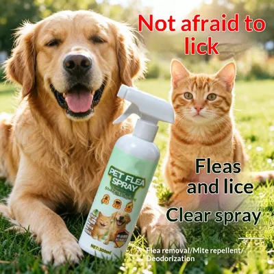 Insecticidal Spray For Dogs And Cats