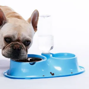 Stainless Automatic Drinking Bowl
