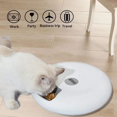 Automatic Timed Pet Feeder For Cats 6 Meals Usb Powered