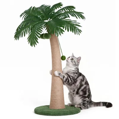 43 Inch Tall Cat Scratching Post For Indoor Large Cats, Natural Sisal Scratch Post With Hanging Toys, Stable Base Cat Scratcher For Kittens &  Cats, Tropical Cat Tree Furniture