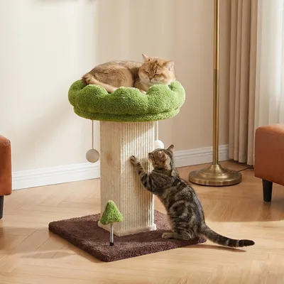 Flower Cat Scratching Post For Indoor Cats Scratcher With Perch  Comfortable & Removable Perch, Interactive Dangling Ball, Natural Sisal Scratching Post, Simple Assembly & Stability