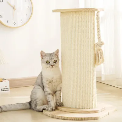 Cat Scratch Post Wear-resistant No Shedding Large Roman Column Climbing Frame