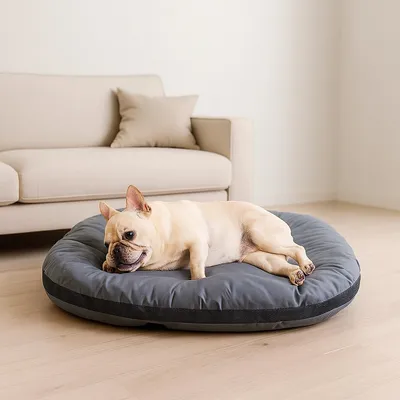 PetSuppliesWaterproof Biteresistant MatThat Resists Hair Adhesion Largedog Outdoor Kennel With An Easytoclean Dog Pad