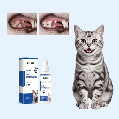 Cat Tooth Spray