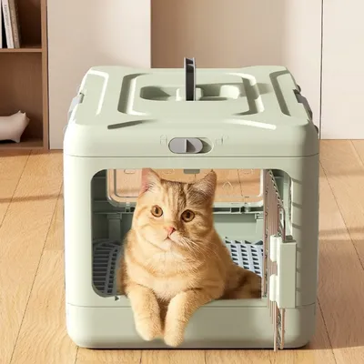 Portable Folding Pet Carrier For Cats Ideal For Travel