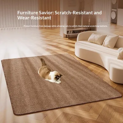 Sisal Pet-proof Rug For The Living Roomperfect For All Four Seasons