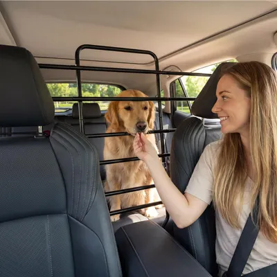 Dog Car Barrier,Easy To Assemble And Install Dog Car Barriers Fits Well In Various Vehicles Adjustable With Seat Movements Recycled Materials