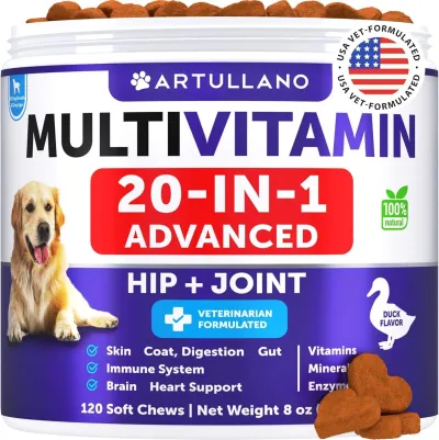 Do Not Sell On Amazon Dog Multivitamin Chewable With Glucosamine 20 In 1 Dog Vitamins And Supplements Senior & Puppy Multivitamin For Dogs Pet Joint Support Health Immunity Mobility Gut Skin 120 Chews