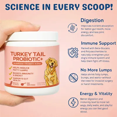 Pet Turkey Tail Mushroom Powder