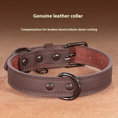 Medium Bell Anti-lost Pet Collar