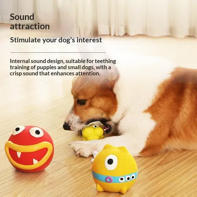 Durable Chew-Resistant Natural Latex Pet Squeaky Toy