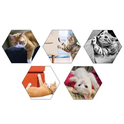 Cat Scratcher Boardtoys Cat Scratching Post Mat Toy Bed Mat Claw Sharpener Scrapers For Cat Grinding Nail Pad Pet Furniture Mat