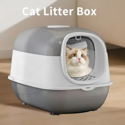 Cat Litter Box With Lid