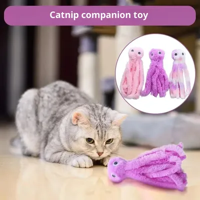 Cat Octopus Polygonum Multiflorum Pet Supplies