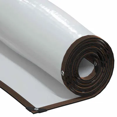   Transparent Tarpaulin with Eyelets 2x5 m Polyethylene
