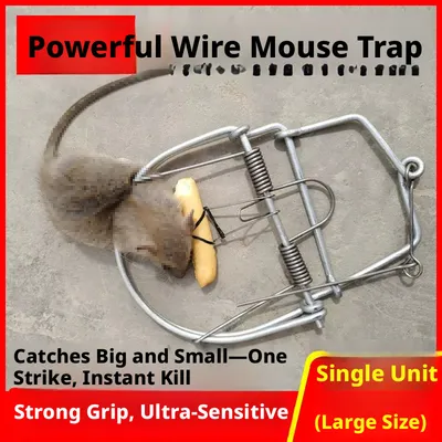Mouse trap-large-1 pack