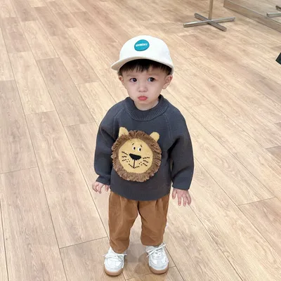 Boys' Korean Style Western Style Pullover Sweater