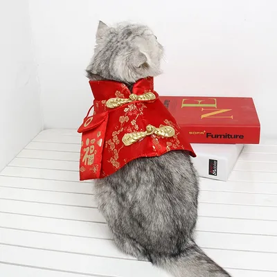Autumn And Winter Chinese Style Pet Supplies Cat Tang Suit
